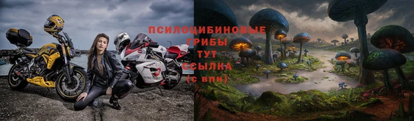 меф Арсеньев