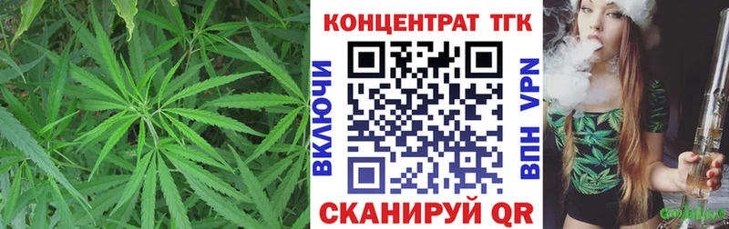 ТГК концентрат  Можга 